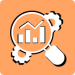 Audits of SEO